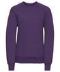 Kids raglan sleeve sweatshirt