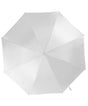 Automatic umbrella