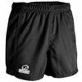 Auckland Shorts