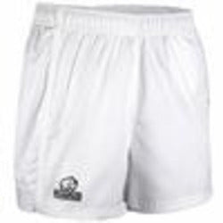 Auckland Shorts