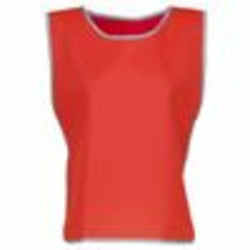 Hi-Vis Reflective Border Tabard (Hvj259)